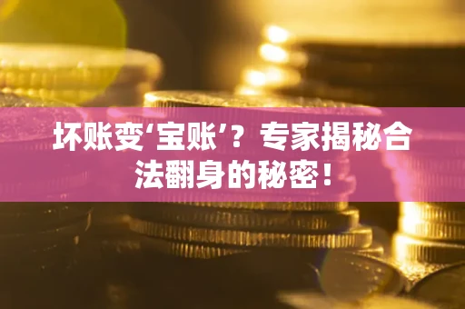 济南坏账变‘宝账’？专家揭秘合法翻身的秘密！