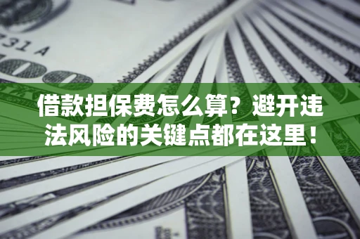 济南借款担保费怎么算？避开违法风险的关键点都在这里！