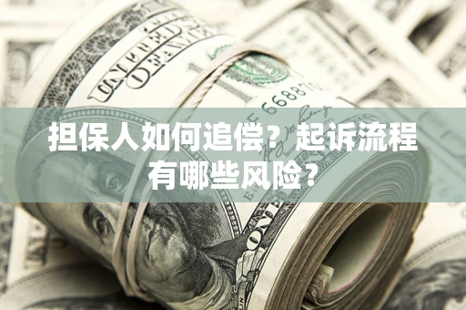 济南担保人如何追偿？起诉流程有哪些风险？