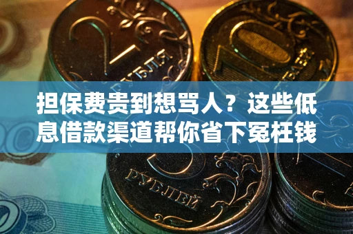 济南担保费贵到想骂人？这些低息借款渠道帮你省下冤枉钱