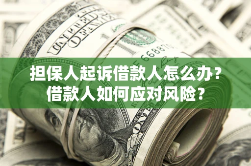 济南担保人起诉借款人怎么办？借款人如何应对风险？