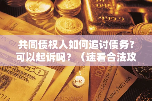 济南共同债权人如何追讨债务？可以起诉吗？（速看合法攻略）