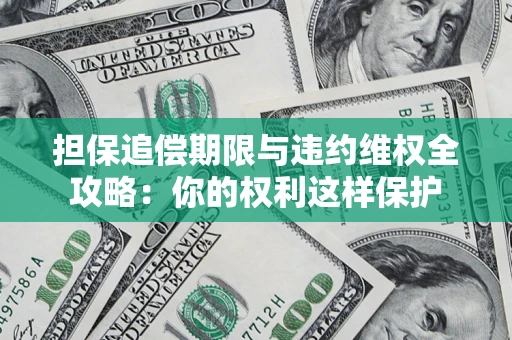 济南担保追偿期限与违约维权全攻略：你的权利这样保护